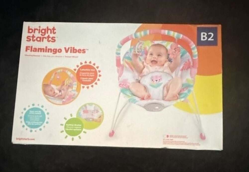 Bright Starts Flamingo Vibes Vibrating Baby Bouncer